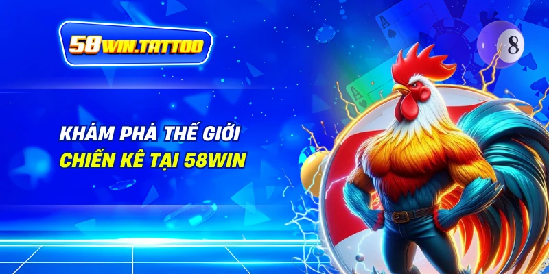 Đá Gà 2 Khám Phá Thế Giới Chiến Kê Tại 58Win
