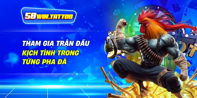 Đá Gà 3 Tham Gia Trận Đấu – Kịch Tính Trong Từng Pha Đá